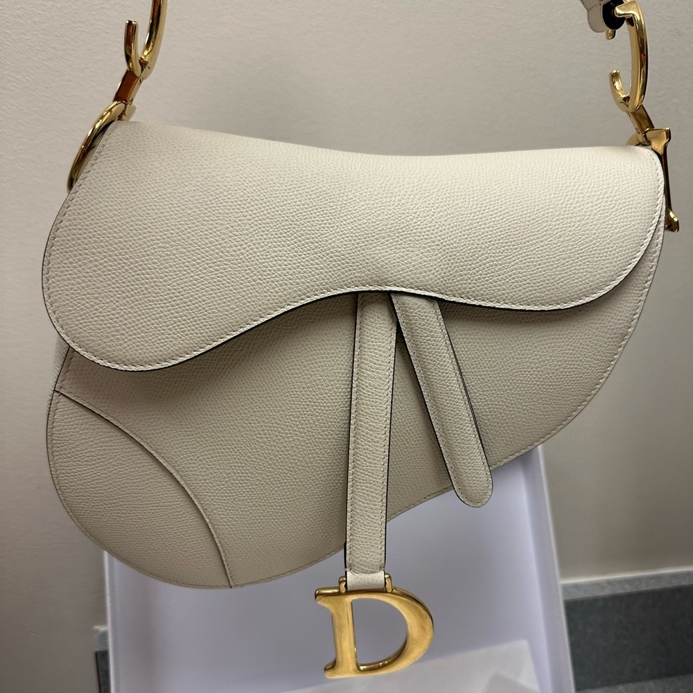 Dior saddle bag